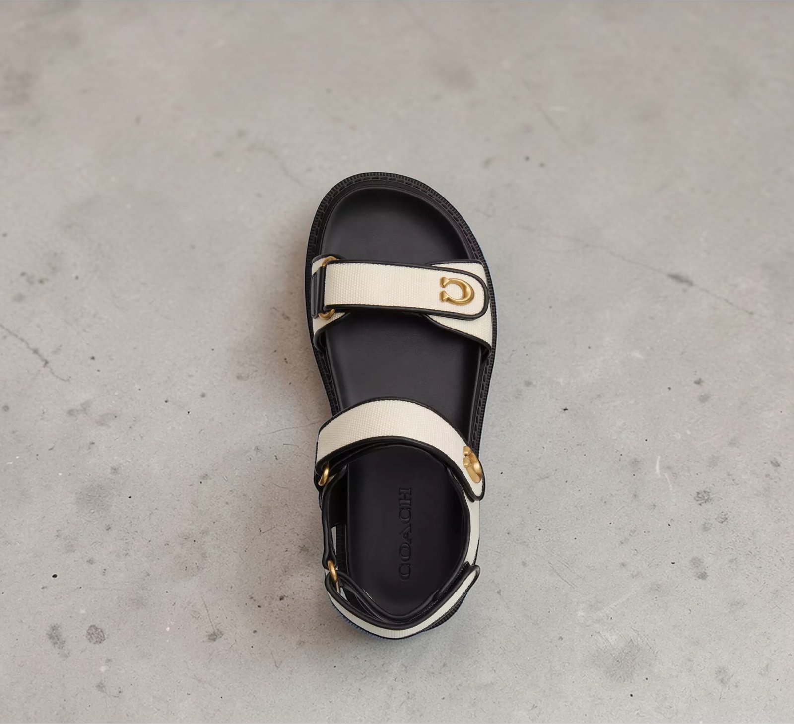 Sandale Coach Brynn Craie – Image 4